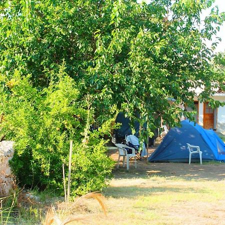 Medusa Camping Patara Extérieur photo