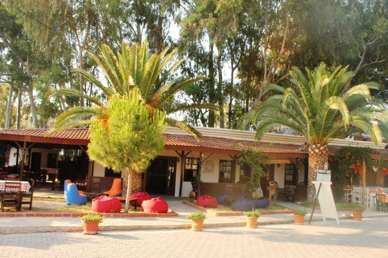 Medusa Camping Patara Extérieur photo